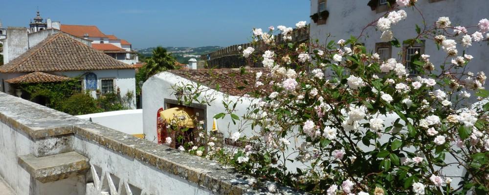 Carmona Apartment Sao Martinho do Porto Ngoại thất bức ảnh